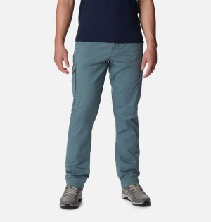 Blue Men's Columbia Pacific Ridge Cargo Pants | 5039-YJXWP