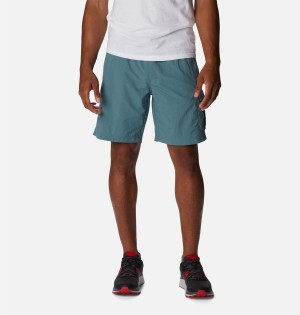 Blue Men's Columbia Palmerston Peak Sport Shorts | 1064-RADTP