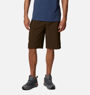 Brown Men's Columbia Palmerston Peak Water Shorts | 4689-OQRXL