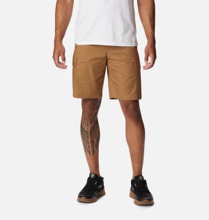 Brown Men's Columbia Rapid Rivers Shorts | 8612-JGSRT