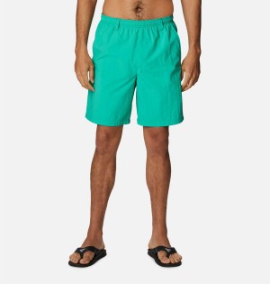 Green Men's Columbia PFG Backcast III Water Shorts | 8472-PSLVI