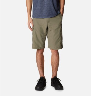 Green Men's Columbia Silver Ridge Cargo Shorts | 5704-WBNVO