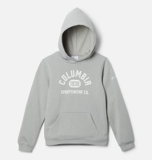 Grey Kids' Columbia Trek Pullover Hoodie | 0726-EYFRZ