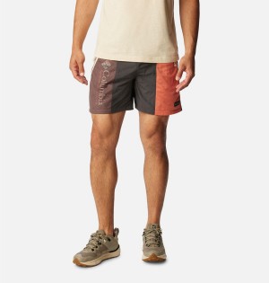 Grey Men's Columbia Riptide Retro Shorts | 9165-MXKUS