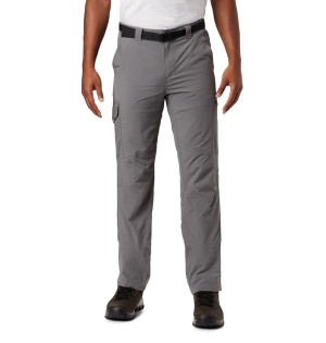 Grey Men's Columbia Silver Ridge Cargo Pants | 2543-FPDJI