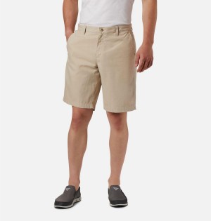 Khaki Men's Columbia PFG Bonehead II Shorts | 8571-IYEXL