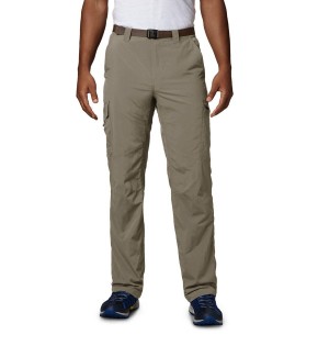 Khaki Men's Columbia Silver Ridge Cargo Pants | 7509-TMVYU