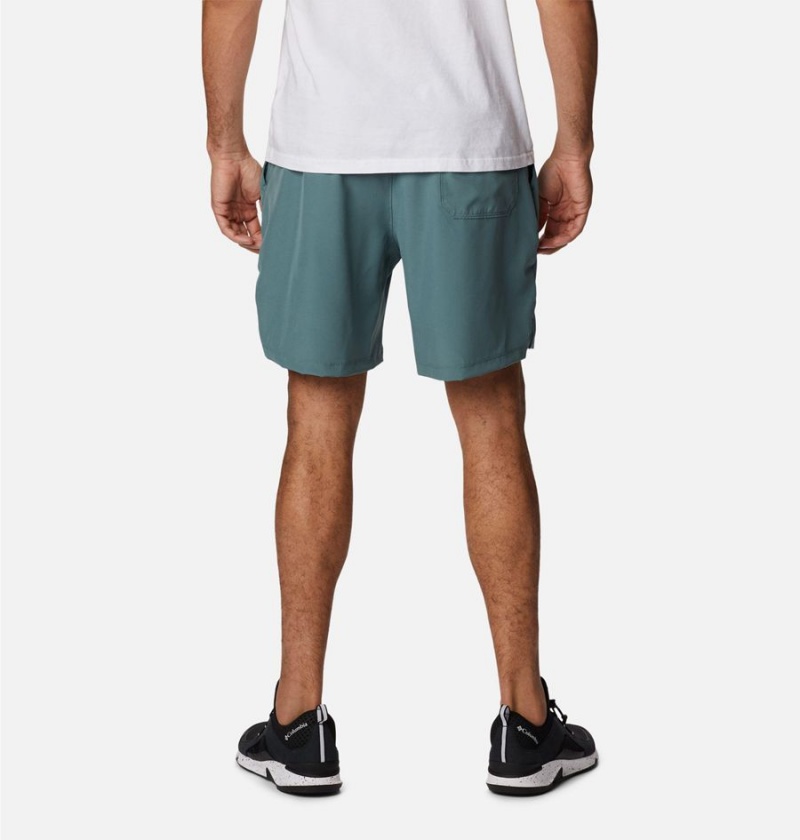 Blue Men's Columbia Alpine Chill Zero Shorts | 8904-SLWMV