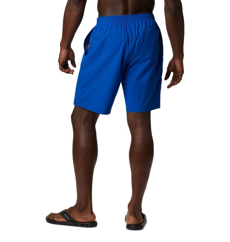 Blue Men's Columbia Summertide Stretch Shorts | 5096-XGLZW