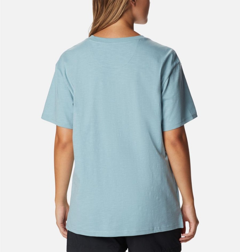 Blue Women's Columbia Break It Down T-Shirt | 2657-SGWNR