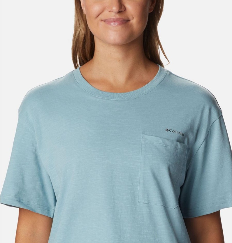 Blue Women's Columbia Break It Down T-Shirt | 2657-SGWNR