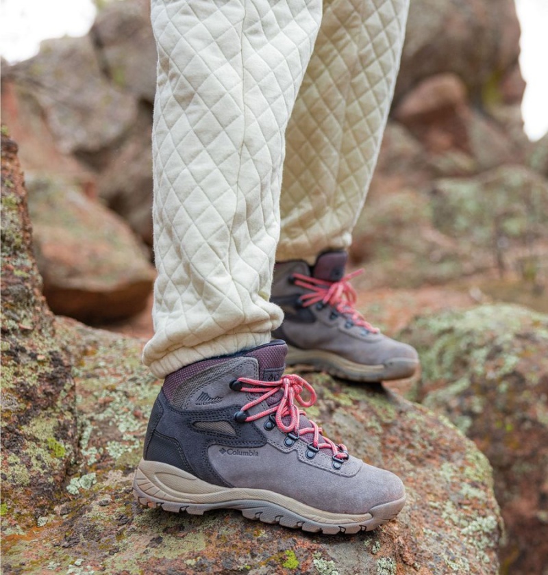 Grey Women's Columbia Newton Ridge Plus Waterproof Amped Boot Hiking Shoes | 5316-UYOZQ