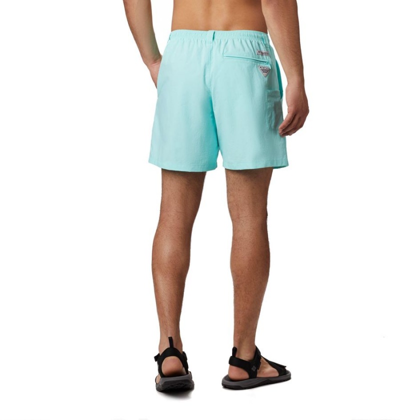 Turquoise Men's Columbia PFG Backcast III Water Shorts | 3248-BYJXH