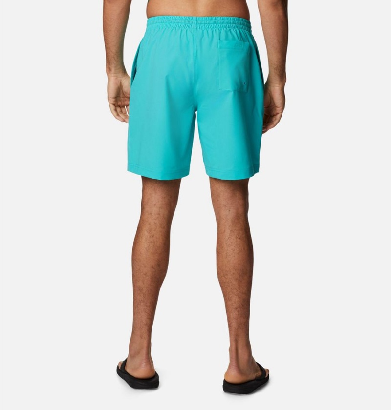 Turquoise Men's Columbia Summertide Stretch Shorts | 2784-DQJNV